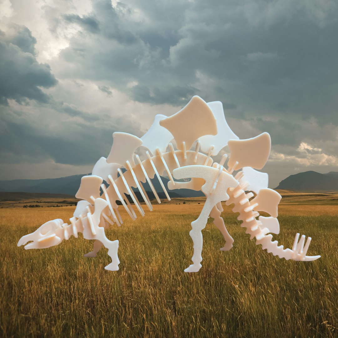 Stegosaurus Skelton Buildable Model
